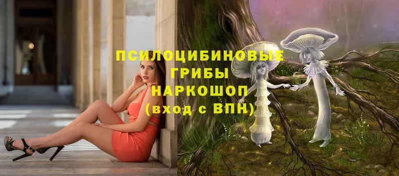 Галлюциногенные грибы Magic Shrooms  купить  цена  Власиха 